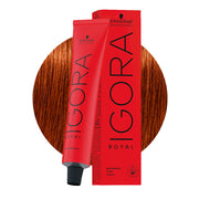 Schwarzkopf Igora Royal 6-77 Biondo Scuro Rame Extra 60ml
