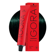 Schwarzkopf Igora Royal 4-33 Castano Medio Matt Extra Cenere 60ml