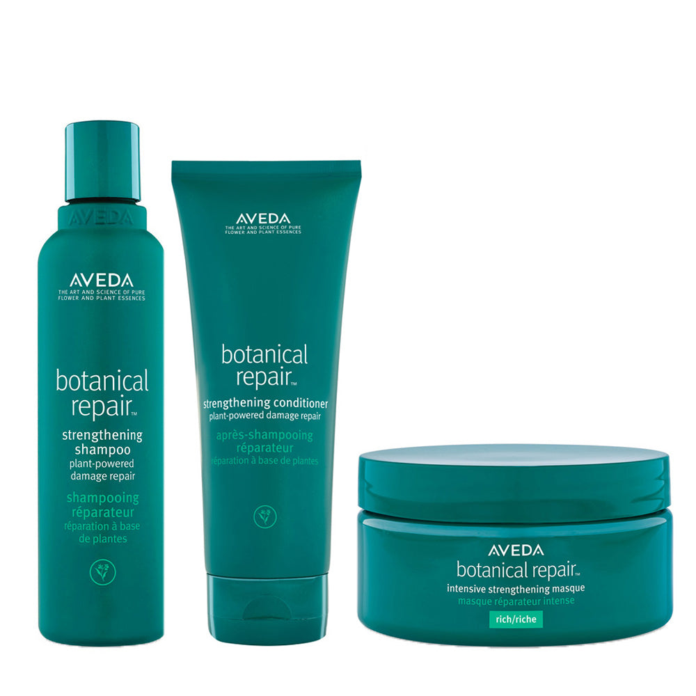 Aveda Botanical Repair Strengthening Rich Kit