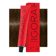 Schwarzkopf Igora Royal 6-16 Biondo Scuro Cendrè Cioccolato 60ml