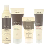 Aveda Damage Remedy Kit