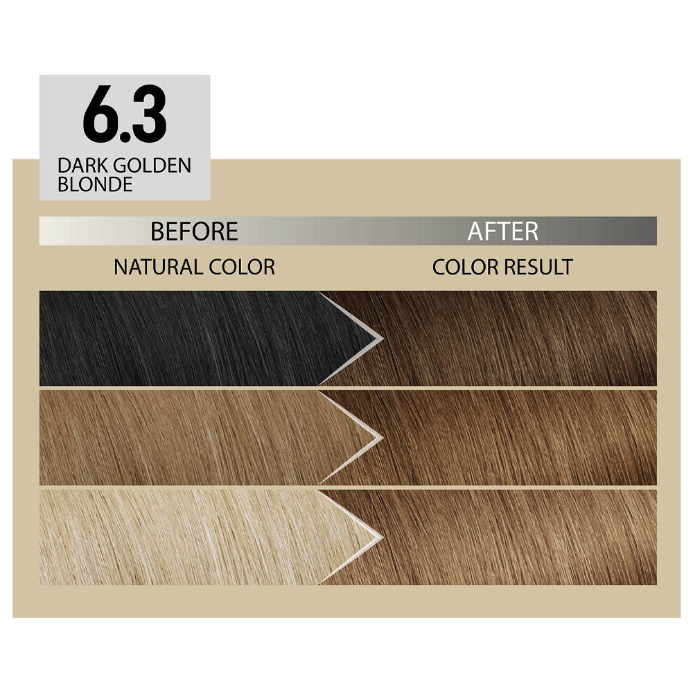 Alfaparf Milano Il Salone Plex Rebuilder Color Kit 6.3 Biondo Scuro Dorato