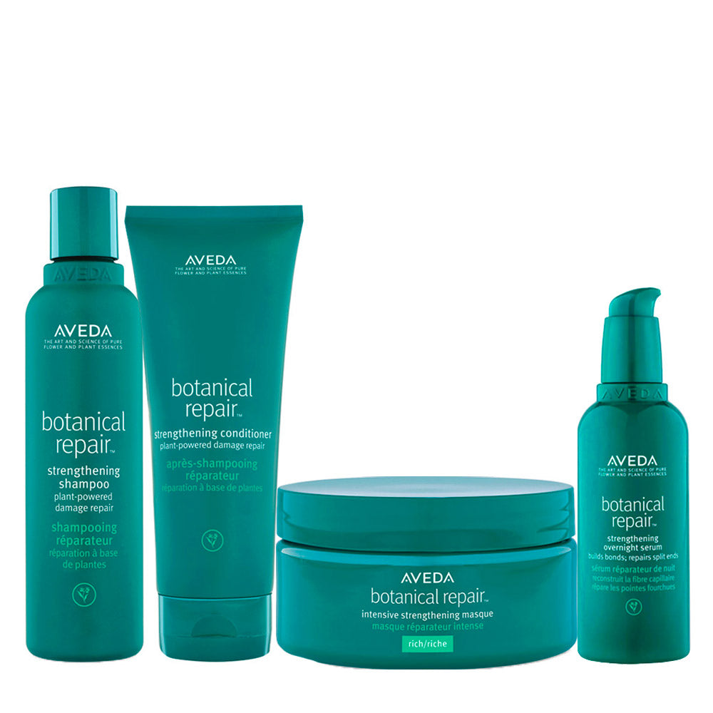 Aveda Botanical Repair Strengthening Kit