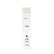 L' Anza Healing Strenght White Tea Shampoo 300ml
