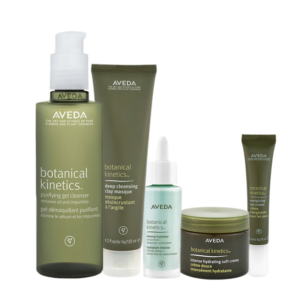 Aveda Botanical Kinetics Kit Viso