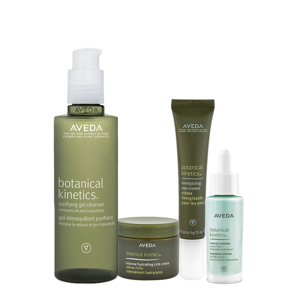 Aveda Botanical Kinetics Kit
