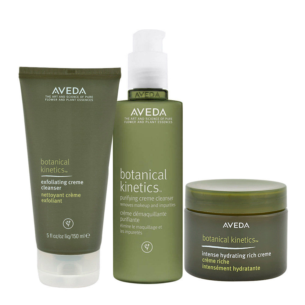 Aveda Botanical Kinetics Set