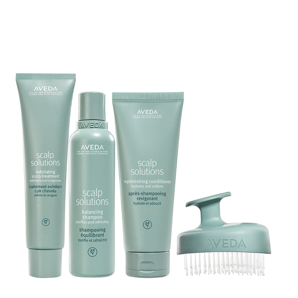 Aveda Scalp Solutions Set