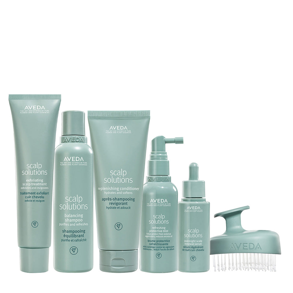 Aveda Scalp Solutions Set