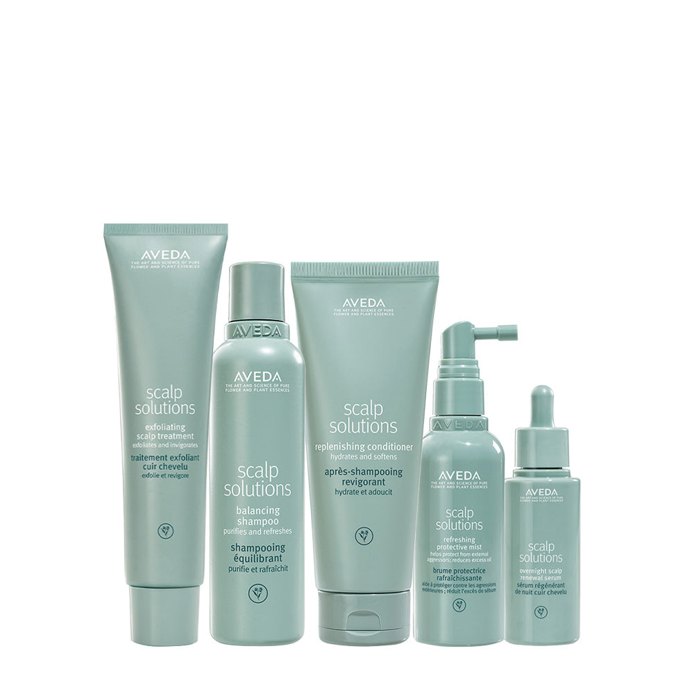 Aveda Scalp Solutions Set