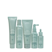 Aveda Scalp Solutions Set