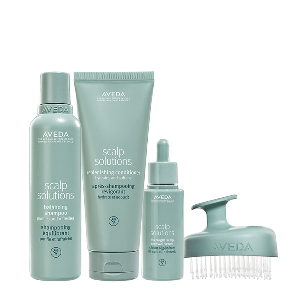 Aveda Scalp Solutions Set