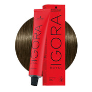 Schwarzkopf Igora Royal 6-31 Biondo Scuro Matt Cendrè 60ml