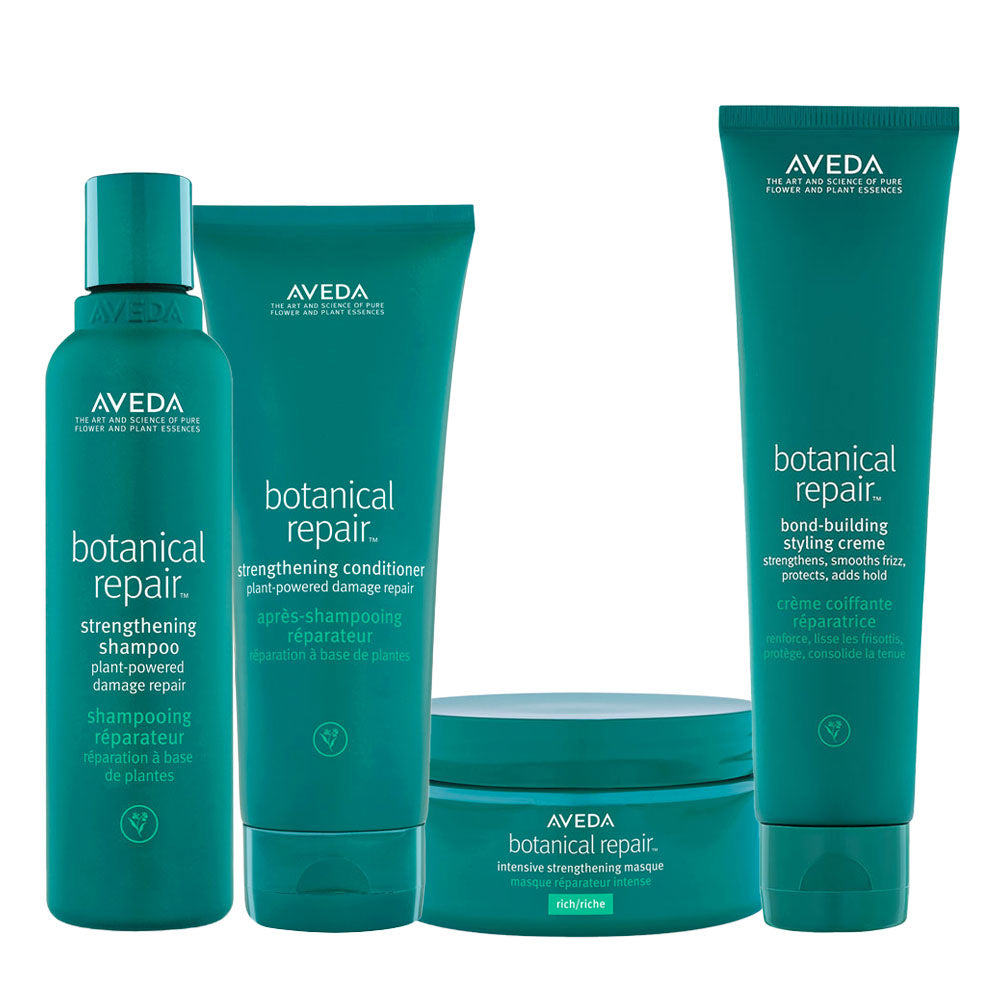 Aveda Botanical Repair Strengthening Kit