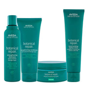 Aveda Botanical Repair Strengthening Kit