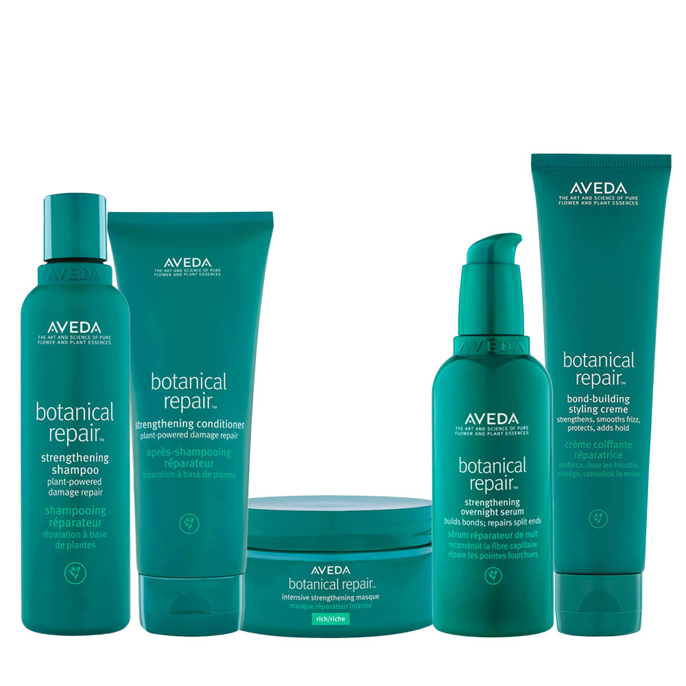 Aveda Botanical Repair Strengthening Kit