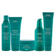 Aveda Botanical Repair Strengthening Kit