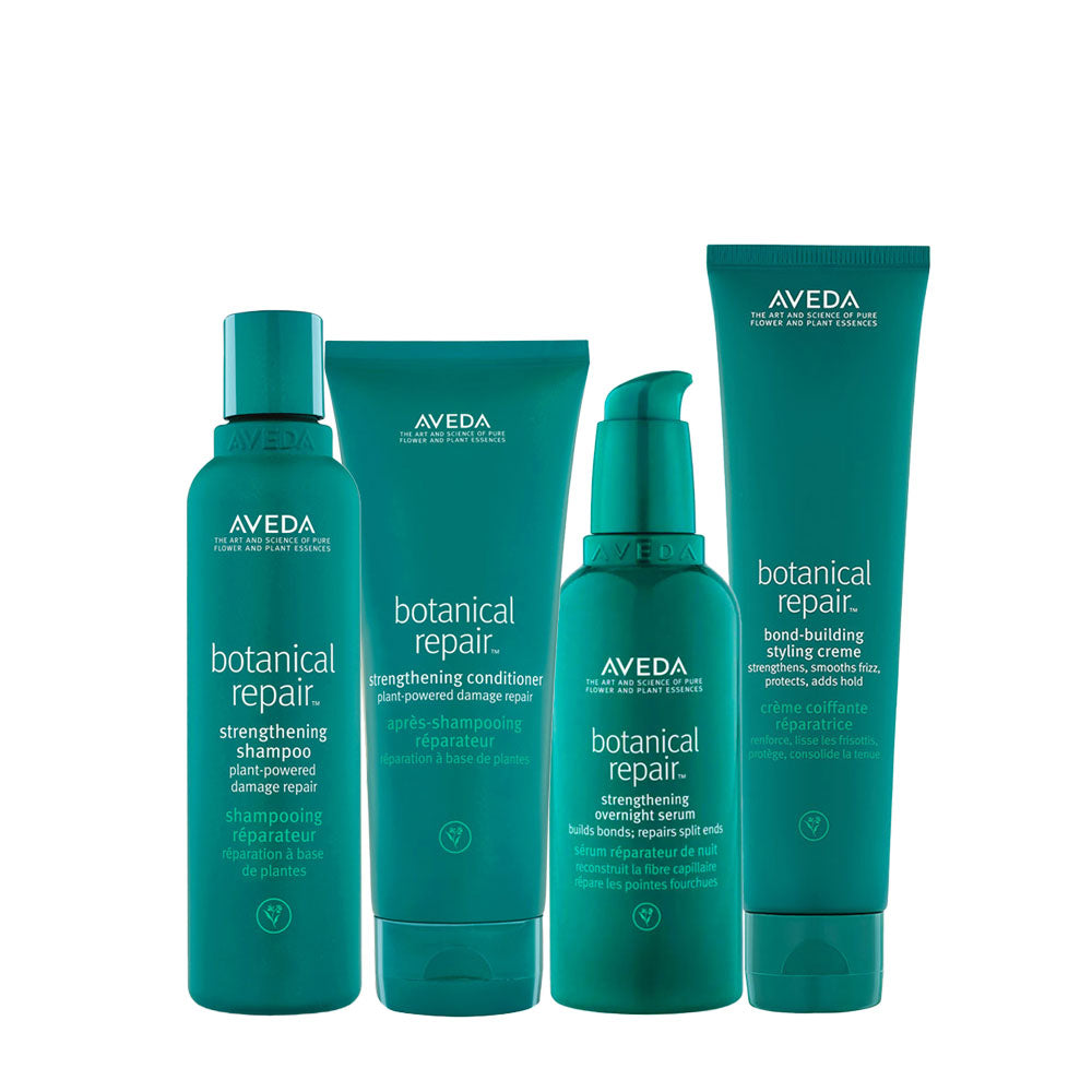 Aveda Botanical Repair Strengthening Kit