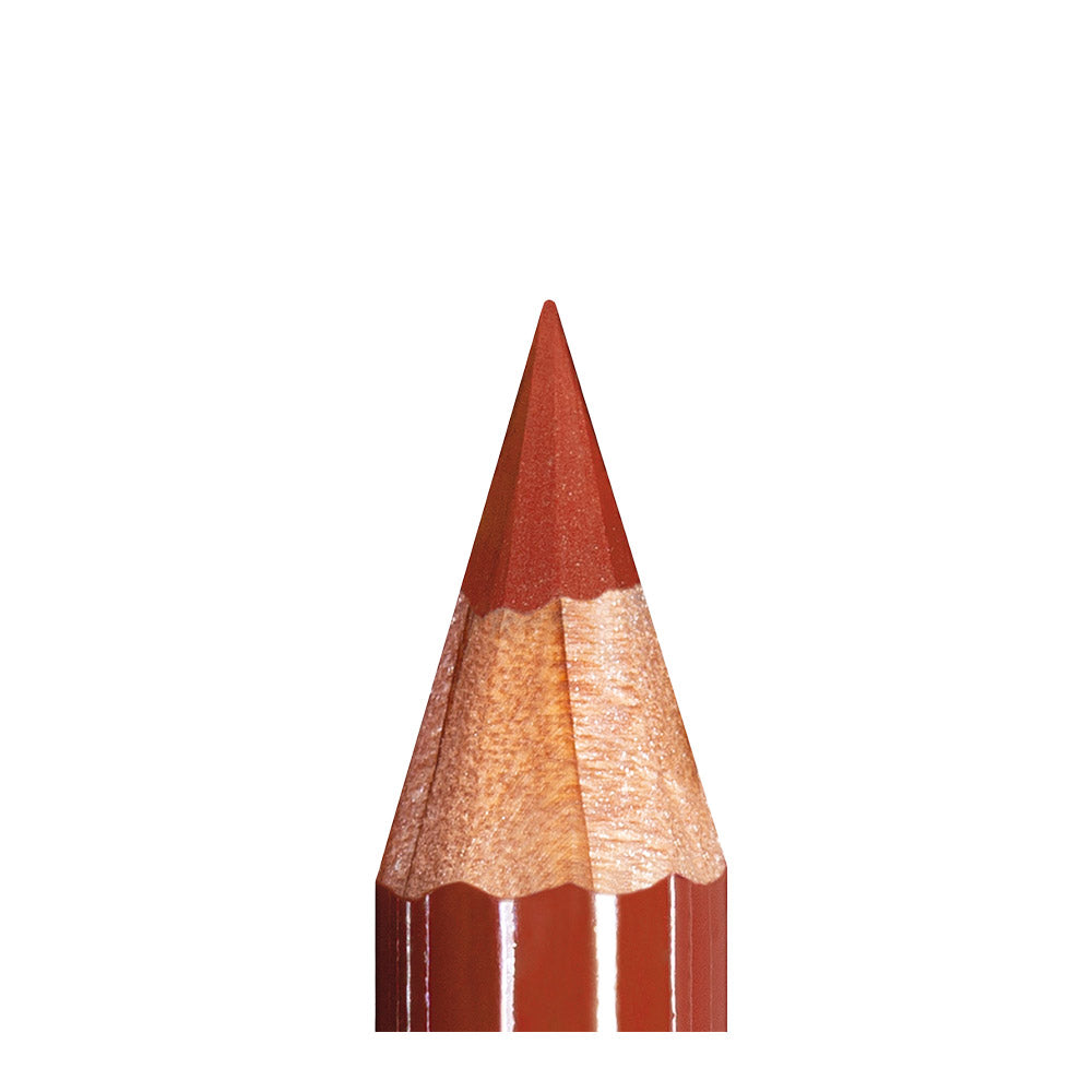 Mesauda Beauty Artist Lips Pumpkin 1.14gr - matita labbra