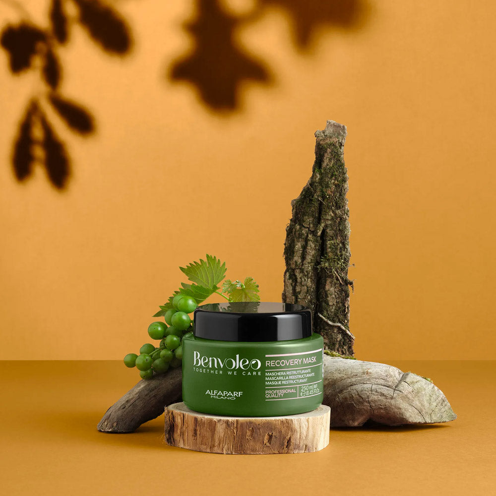 Alfaparf Milano Benvoleo Recovery Mask 250ml - maschera ristrutturante