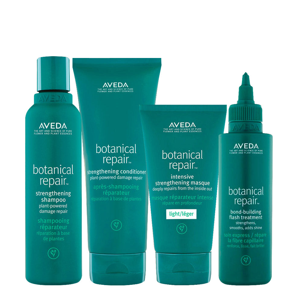 Aveda Botanical Repair Kit