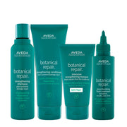 Aveda Botanical Repair Kit