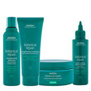 Aveda Botanical Repair Kit