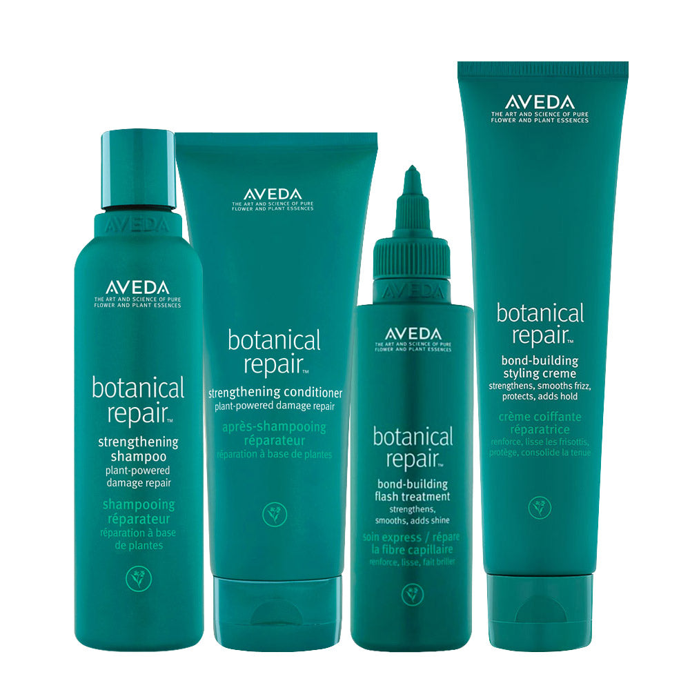 Aveda Botanical Repair Kit