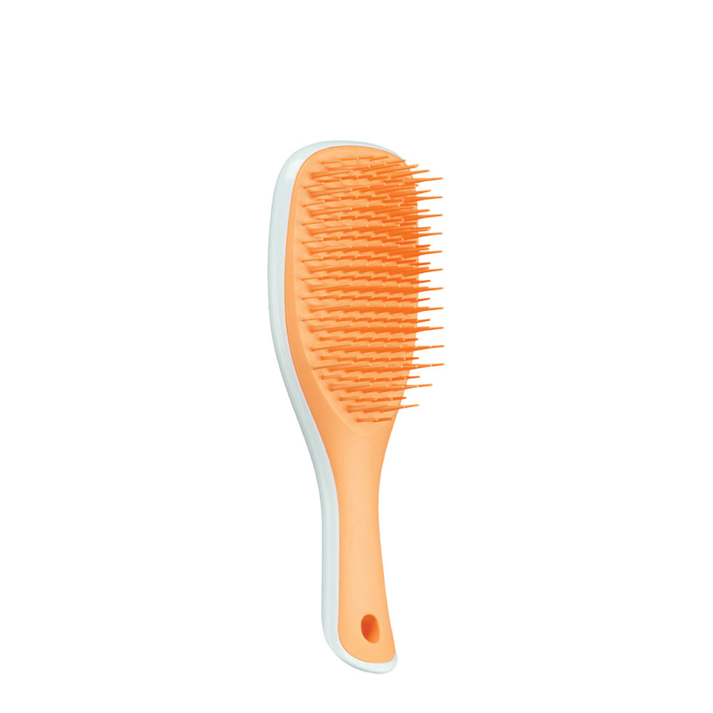 Tangle Teezer The Mini Ultimate Detangler Ice Blue & Sweet Orange