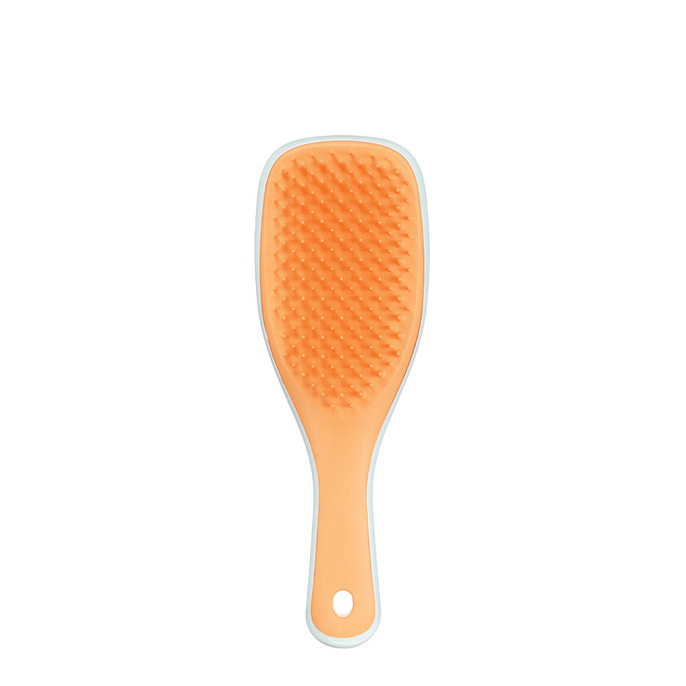 Tangle Teezer The Mini Ultimate Detangler Ice Blue & Sweet Orange