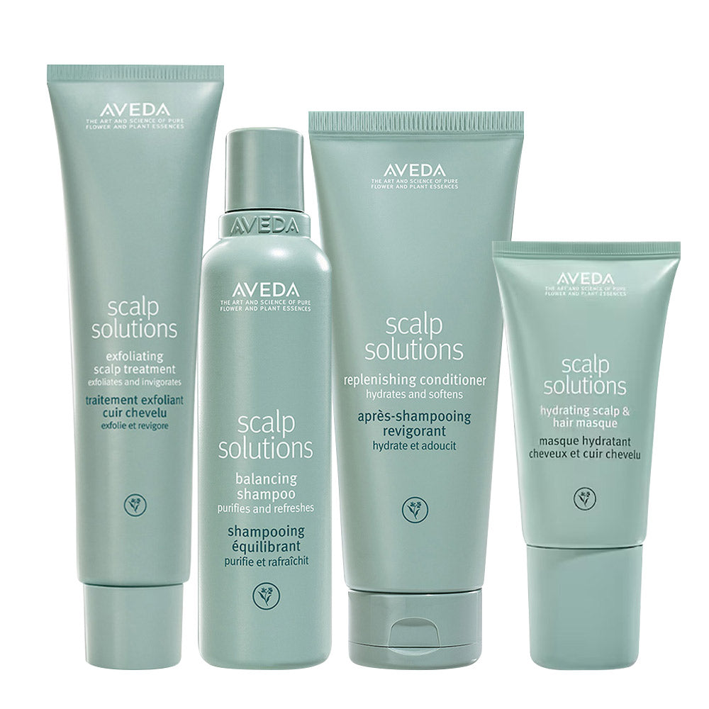Aveda Scalp Solutions Kit
