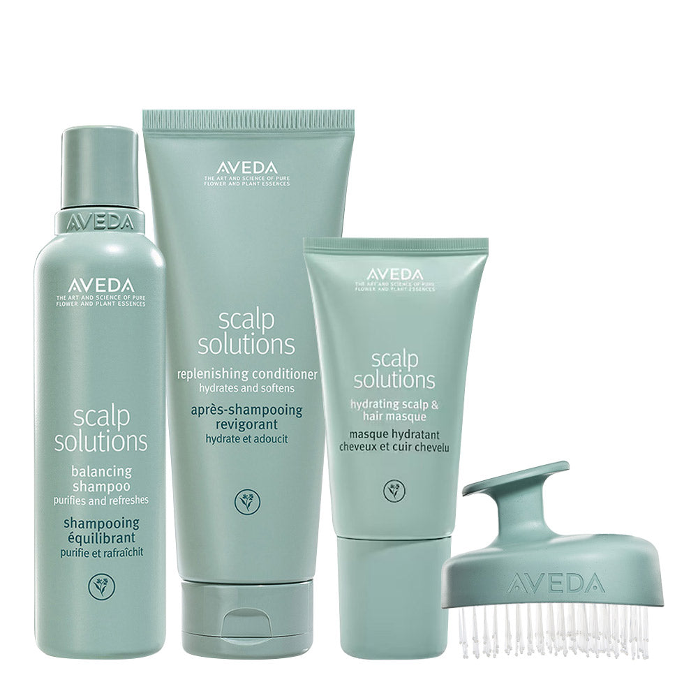 Aveda Scalp Solutions Kit