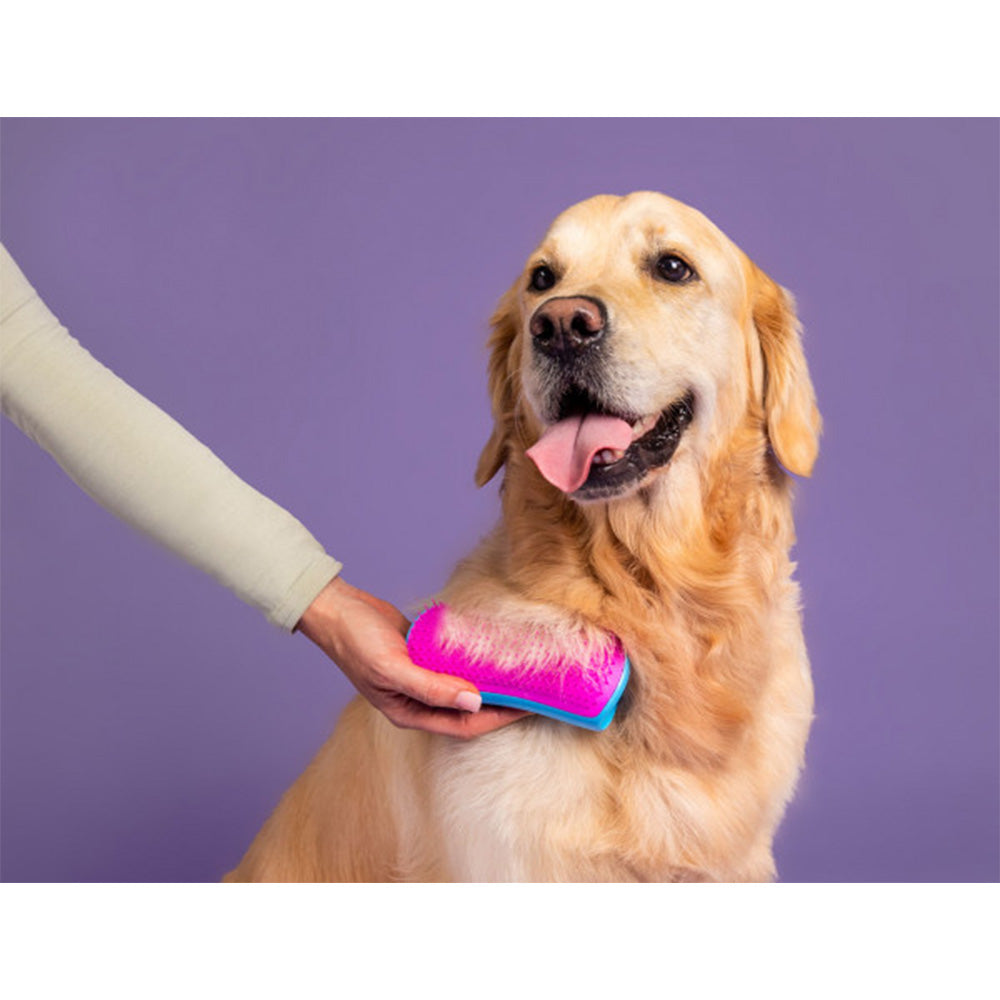 Pet Teezer De-Shedding Blue/Pink - spazzola per cani a pelo lungo