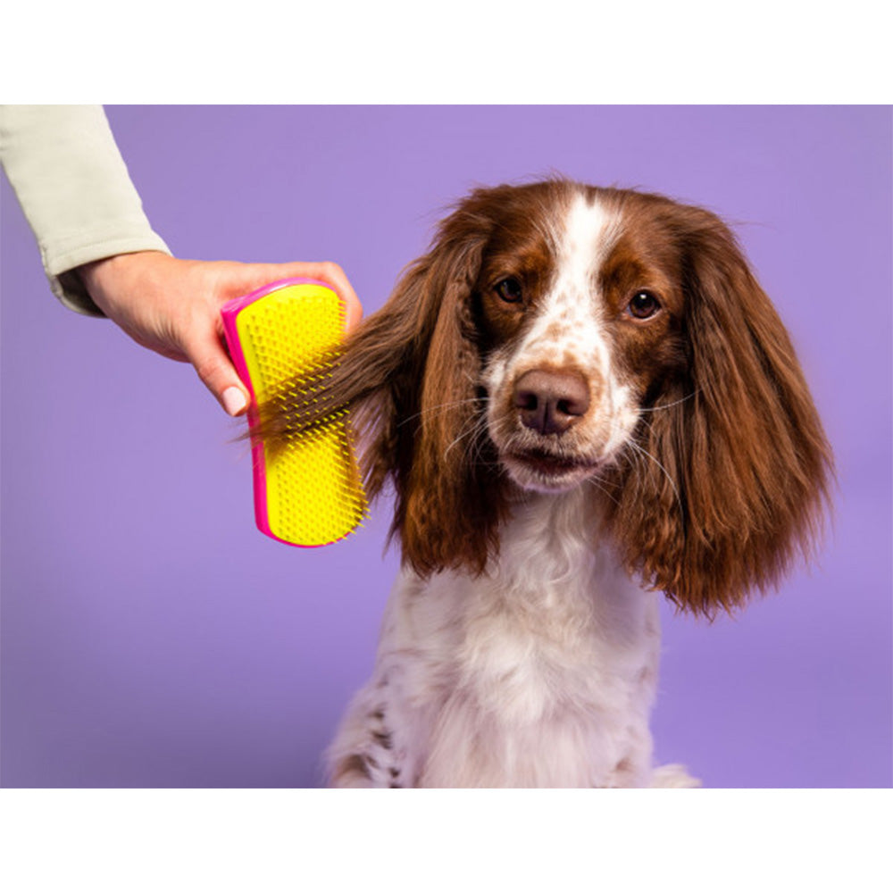 Pet Teezer Detangling Purple/Yellow  - spazzola districante per cani