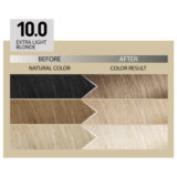 Alfaparf Milano Il Salone Plex Rebuilder Color Kit 10.0 Extralight Blonde - permanent colouring cream