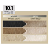 Alfaparf Milano Il Salone Plex Rebuilder Color Kit 10.1 Extralight Ashblonde - permanent colouring cream