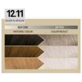 Alfaparf Milano Il Salone Plex Rebuilder Color Kit 12.11 Silver Platinum- permanent colouring cream