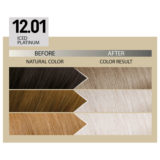 Alfaparf Milano Il Salone Plex Rebuilder Color Kit 12.01 Ice Platinum - permanent colouring cream