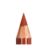 Mesauda Beauty Artist Lips Pumpkin 1.14gr - lip pencil